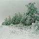 Радищевский район 14
